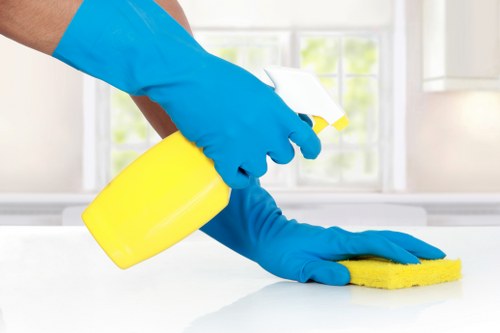 Close-up of carpet stain treatment and cleaning equipment for Ruislip properties