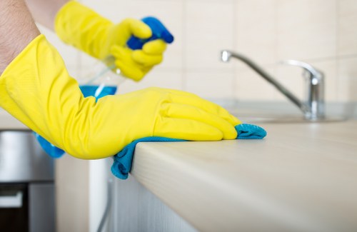 Domestic cleaners working in a Ruislip home