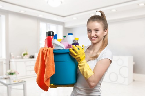 Deep cleaning of a built-in oven and racks