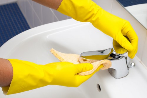 Professional cleaning service for homes and businesses in Ruislip